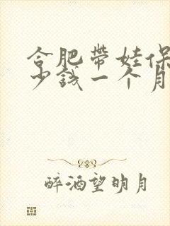 合肥带娃保姆多少钱一个月