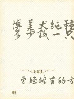 博美犬纯种价格多少钱一只