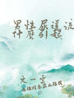 男性尿道流黄脓什么引起