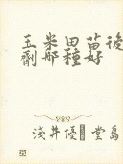玉米田苗后除草剂哪种好