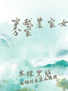 穿越农家女种田分家