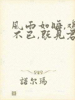 风雨如晦,鸡鸣不已,既见君子,云胡不喜
