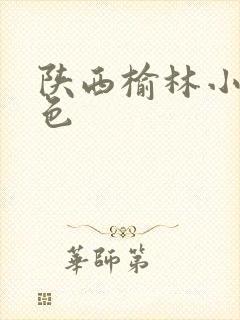 陕西榆林小吃特色