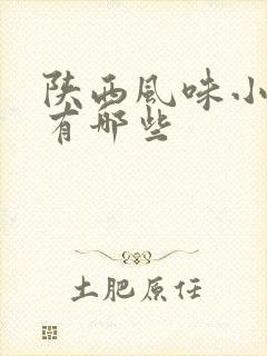 陕西风味小吃都有哪些