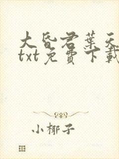 大昏君叶天全文txt免费下载