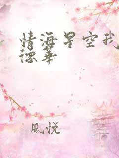 情海星空我与刘德华