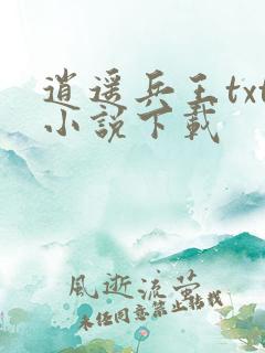 逍遥兵王txt小说下载