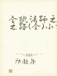 全职法师之女王之路(全)小说