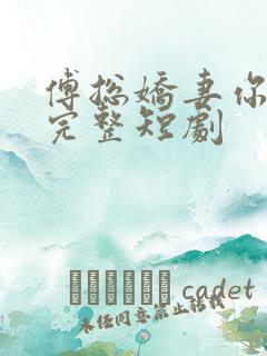傅总娇妻你别逃完整短剧