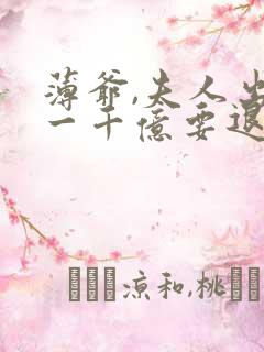 薄爷,夫人出价一千亿要退婚免费全文阅读