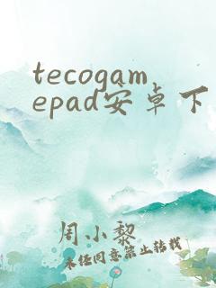 tecogamepad安卓下载