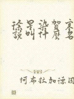 徐星染贺寒声小说叫什么名字