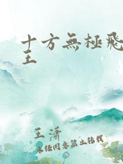 十方无极飞天神王