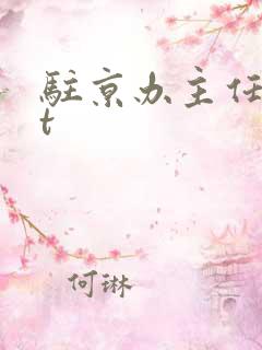 驻京办主任txt