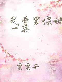 我爱男保姆最后一集