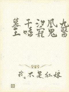 慕千汐凰九夜邪王嗜宠鬼医狂妃无弹窗