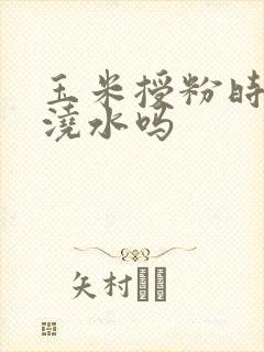 玉米授粉时间能浇水吗