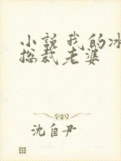 小说 我的冰山总裁老婆