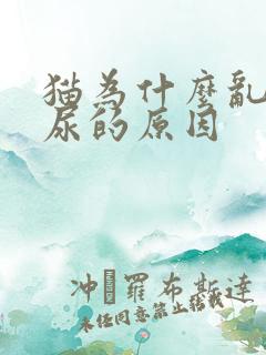 猫为什么乱拉乱尿的原因
