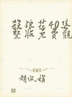 杀狼花40集完整版免费观看