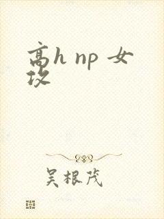 高h np 女攻