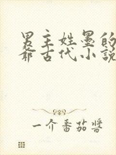 男主姓墨的是王爷古代小说