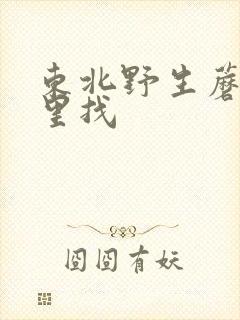 东北野生蘑菇哪里找