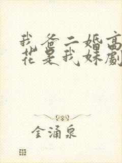 我爸二婚高冷校花是我妹剧
