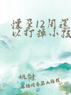怀孕12周还可以打掉小孩吗