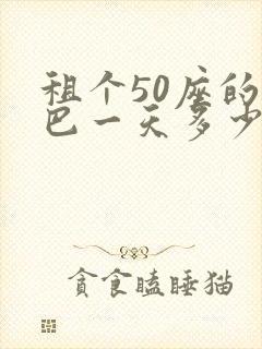 租个50座的大巴一天多少钱?