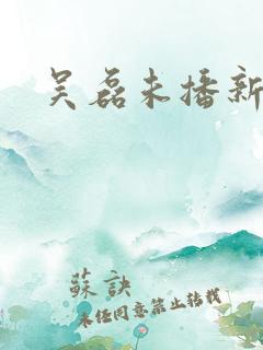 吴磊未播新剧