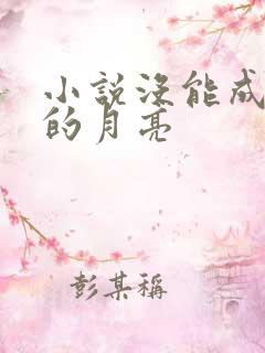 小说没能成为你的月亮 小说没能成为你的月亮