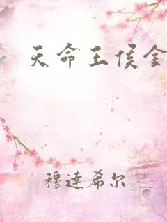 天命王侯金峰 天命王侯金峰