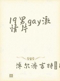 19男gay激情片 19男gay激情片