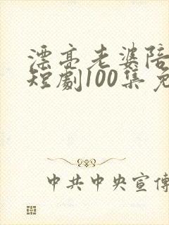 漂亮老婆陪过年短剧100集免费观看