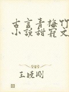 古言青梅竹马的小说甜宠文