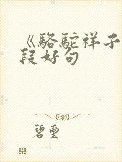 《骆驼祥子》好段好句