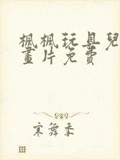 枫枫玩具儿童动画片免费