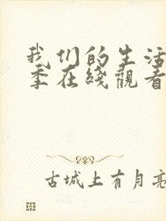 我们的生活第三季在线观看免费高清