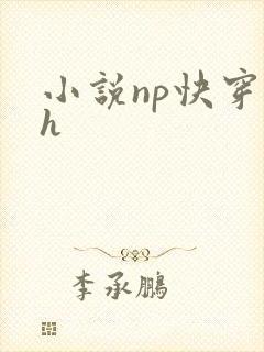 小说np快穿高h