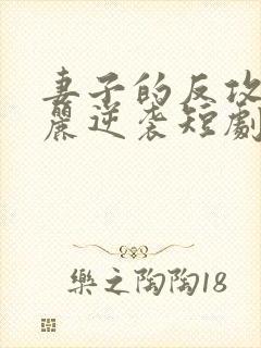妻子的反攻之华丽逆袭短剧