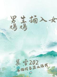 男生捅入女生的鸡鸡