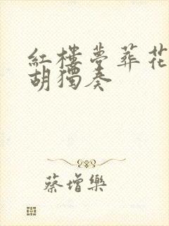 红楼梦葬花吟二胡独奏