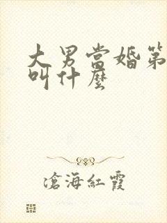 大男当婚第二部叫什么