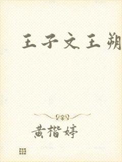 王子文王朔