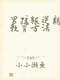 男孩叛逆期怎样教育方法