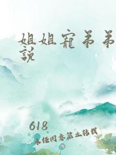 姐姐宠弟弟的小说