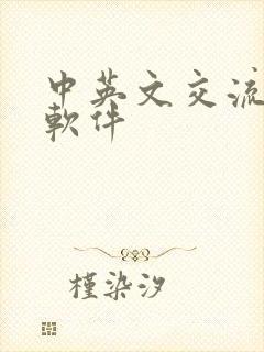中英文交流翻译软件