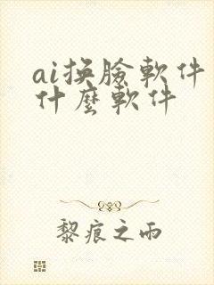 ai换脸软件是什么软件