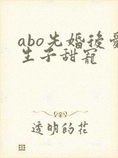 abo先婚后爱生子甜宠